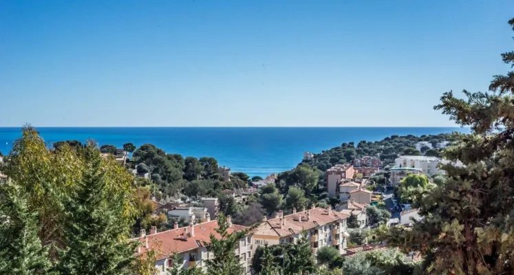 Villa mit Pool und Meerblick, Roquebrune-Cap-Martin - Foto 2