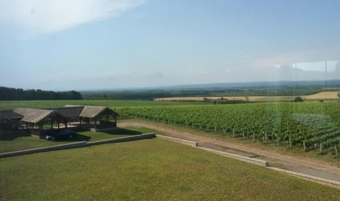 Einzigartige Weinproduktionsstätte in Kroatisch-Slawonien - Foto 4