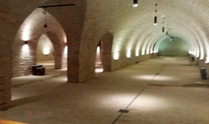 Einzigartige Weinproduktionsstätte in Kroatisch-Slawonien - Foto 6