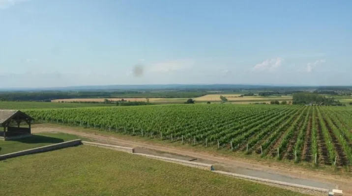 Einzigartige Weinproduktionsstätte in Kroatisch-Slawonien - Foto 9