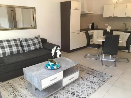 Sale of Aparthotel in Vienna not far from airport, 16 short- and long-term apartments - pic.5